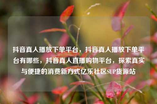 抖音真人播放下单平台，抖音真人播放下单平台有哪些	，抖音真人直播购物平台，探索真实与便捷的消费新方式亿乐社区SUP货源站  第1张