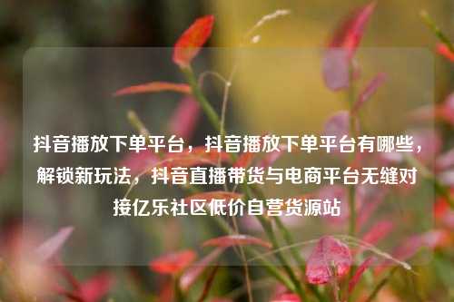 抖音播放下单平台，抖音播放下单平台有哪些，解锁新玩法	，抖音直播带货与电商平台无缝对接亿乐社区低价自营货源站  第1张