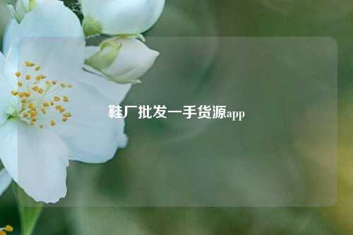 鞋厂批发一手货源app  第1张