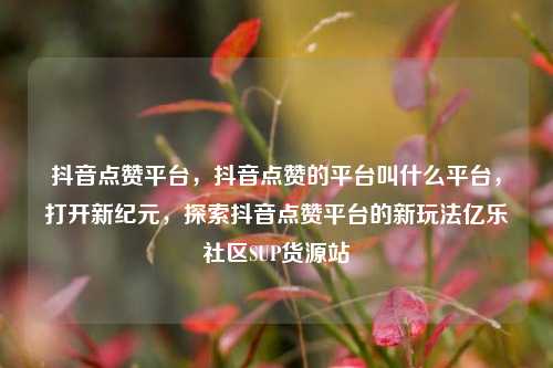 抖音点赞平台，抖音点赞的平台叫什么平台，打开新纪元	，探索抖音点赞平台的新玩法亿乐社区SUP货源站  第1张