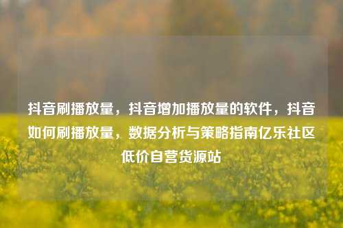 抖音刷播放量，抖音增加播放量的软件	，抖音如何刷播放量，数据分析与策略指南亿乐社区低价自营货源站  第1张
