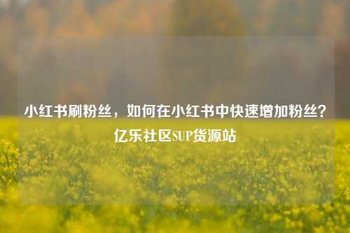 小红书刷粉丝，如何在小红书中快速增加粉丝？亿乐社区SUP货源站  第1张